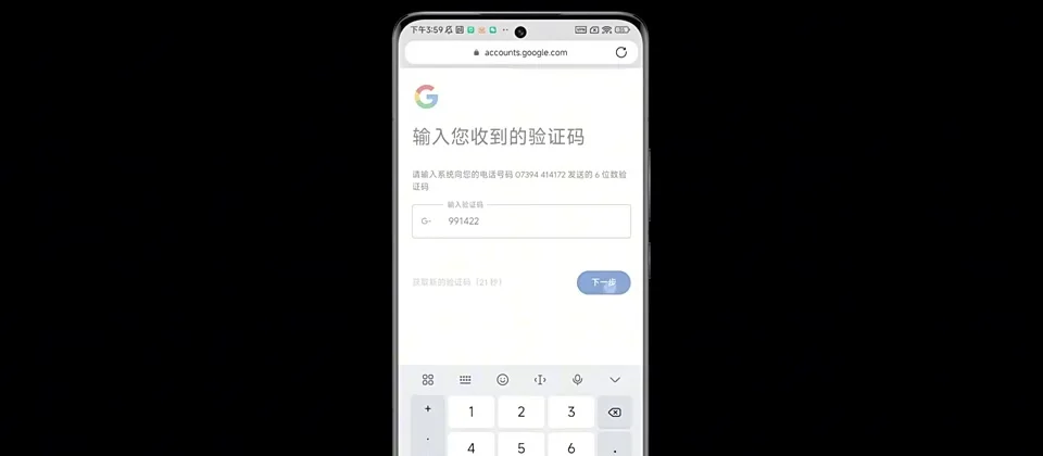 Google 输入验证码页面