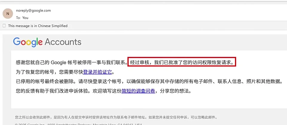 Google 账号审核与恢复提示